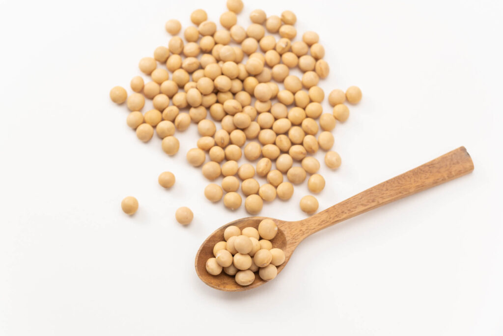 pixta_82855384_M-1-2