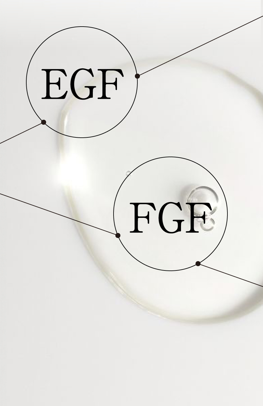 EGFとFGF