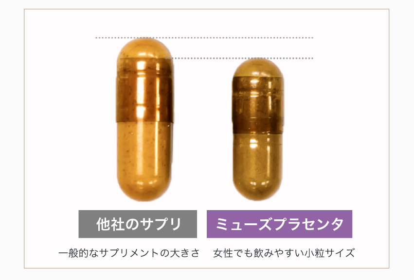 他社サプリカプセルとの大きさ比較画像