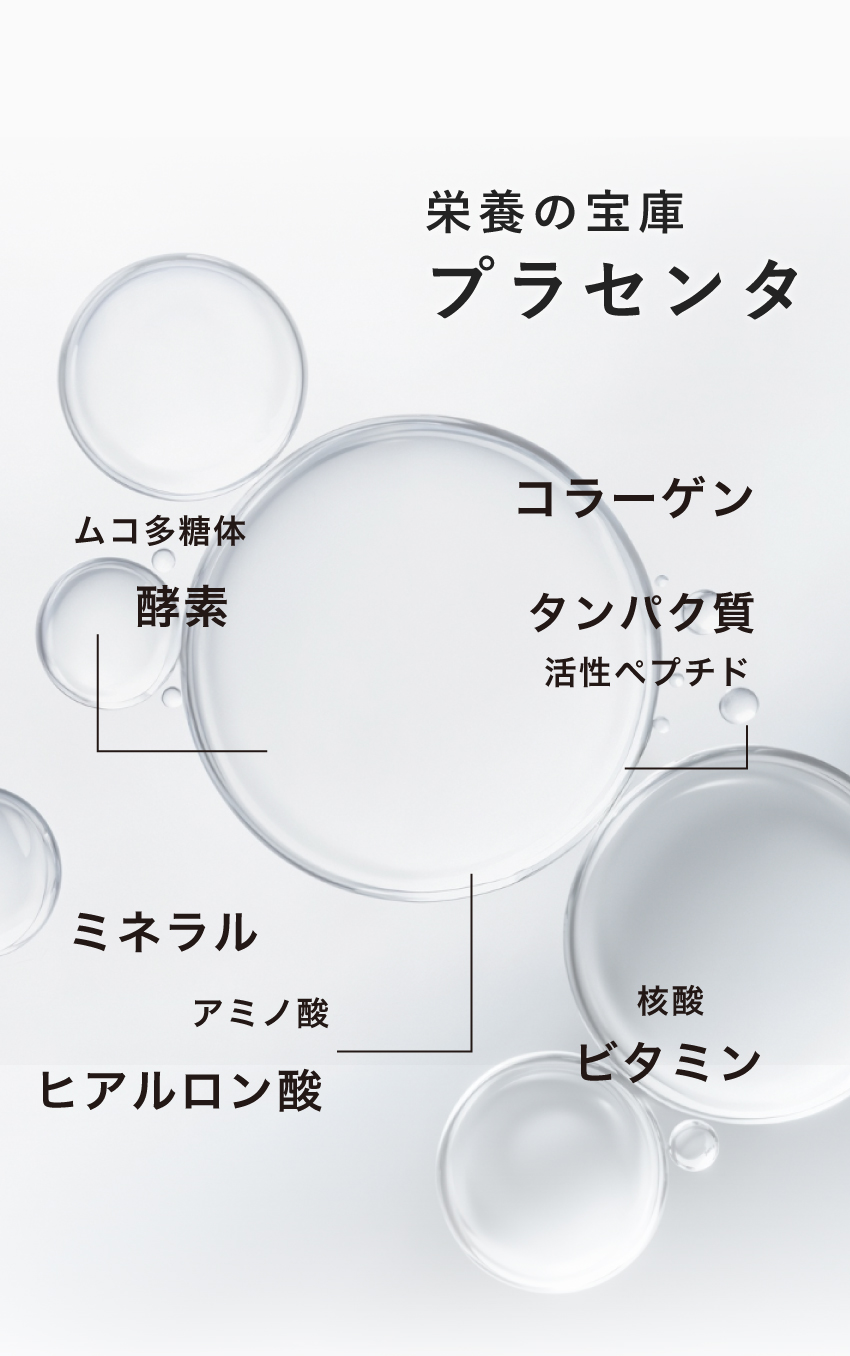 栄養の宝庫プラセンタ