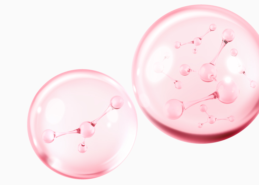 プラセンタ画像