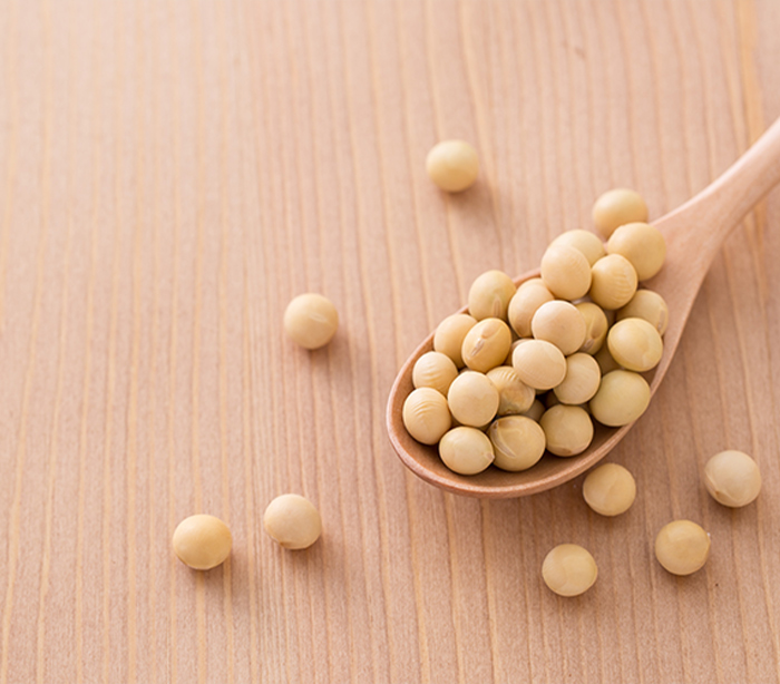 ゲニステイン15mg配合