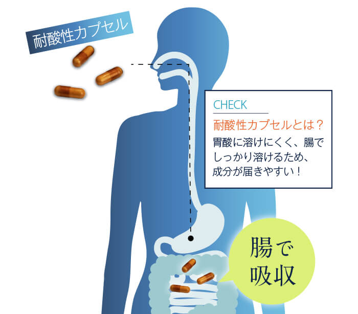 耐酸性カプセル