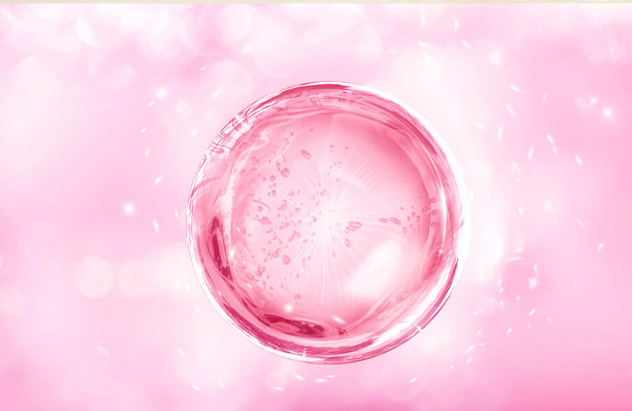 プラセンタのイメージ画像